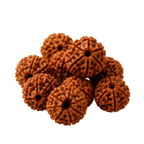 Rudraksha