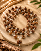 Ganesh Rudraksha Java (Without Cap)