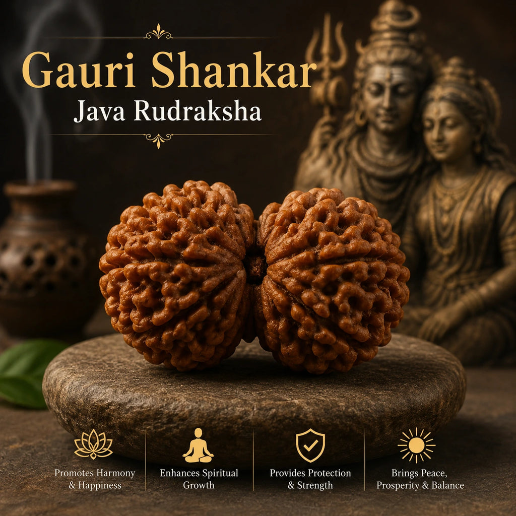 Gauri Shankar Java Rudraksha