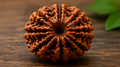 9 Mukhi Nepali